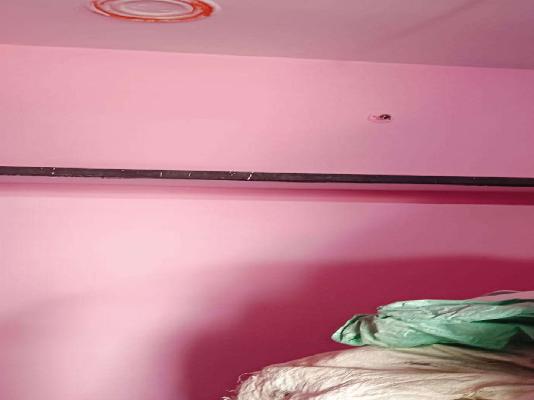 Plot For Sale  In  Hastsal