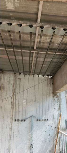 1 BHK Flat In Birdcounty for Rent  In Wakad