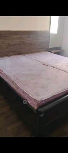 3 BHK Flat In Paras Tierea for Rent  In A-block, Ajnara Element, Paras Tierea, Sector 137, Noida, Uttar Pradesh 201304, India