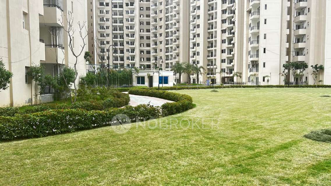 2 BHK Flat for Rent  In Oasis Grandstand Phase 2