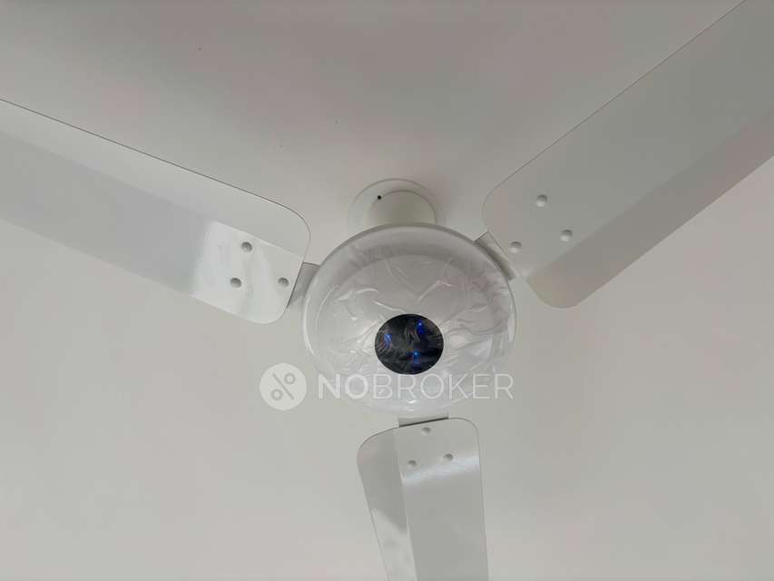 3 BHK Flat In Vj Yashwin Nuovo Centro  for Rent  In Wakad