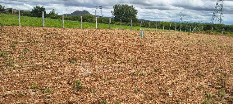 Plot For Sale  In Iriyur