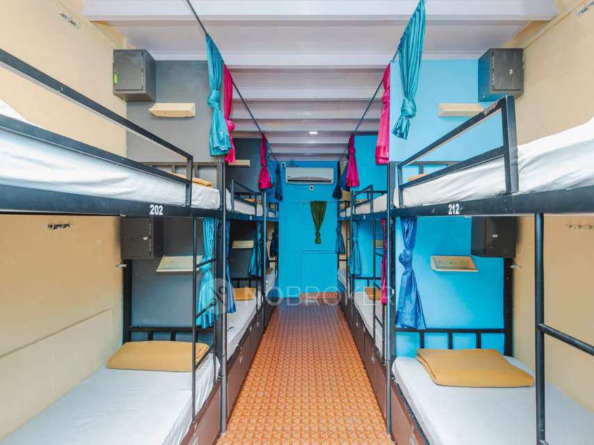 PG for Anyone in Afra Dormitory For Male & Female