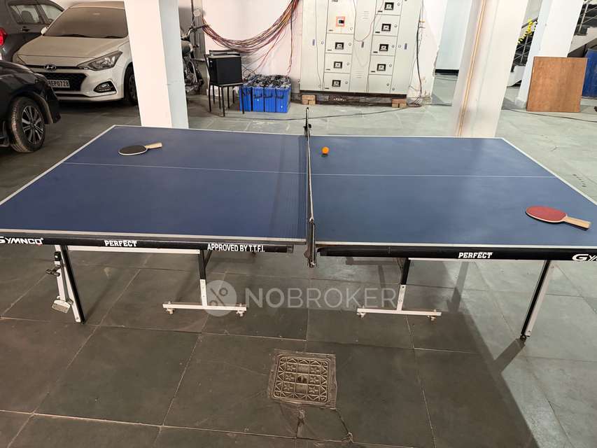 PG for Anyone in Tikri Village, Sector 48