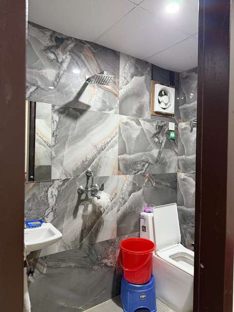 PG for Anyone in Tikri Village, Sector 48