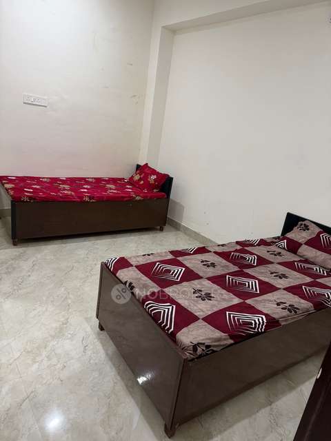 PG for Anyone in Tikri Village, Sector 48