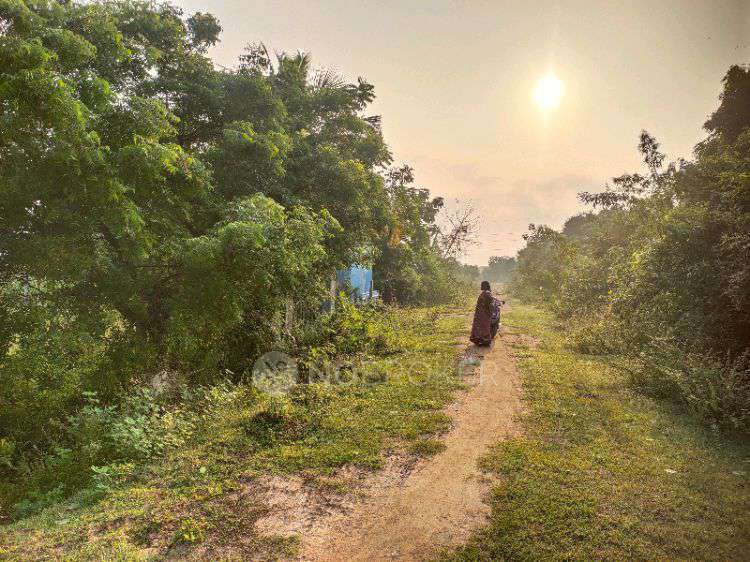 Plot For Sale  In Ponmar