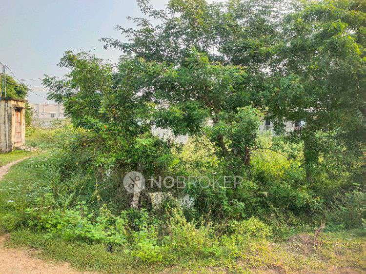 Plot For Sale  In Ponmar