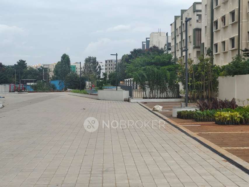 3 BHK Flat In Trifecta Retto, Sarjapur Road For Sale  In Trifecta Retto