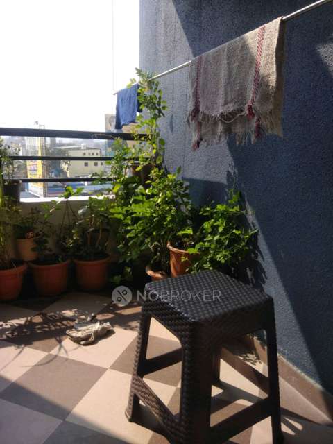 2 BHK Flat In Lunkad Anand Tarang for Rent  In Charholi Budruk