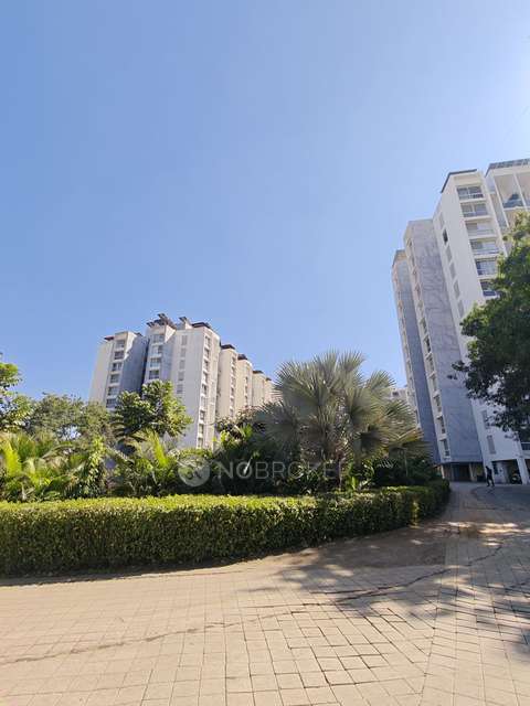 2 BHK Flat In Marvel Ganga Fria for Rent  In Wagholi