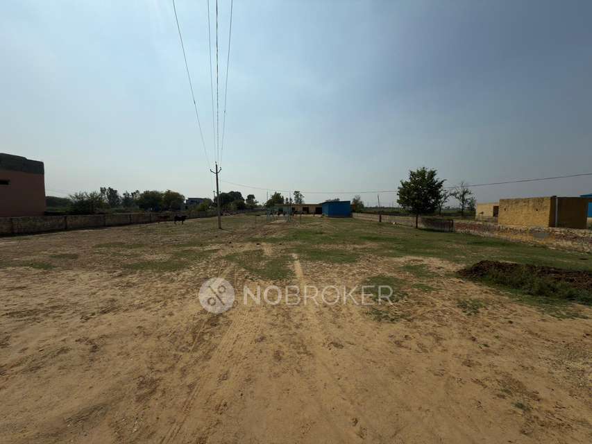 Plot For Sale  In Jewar 