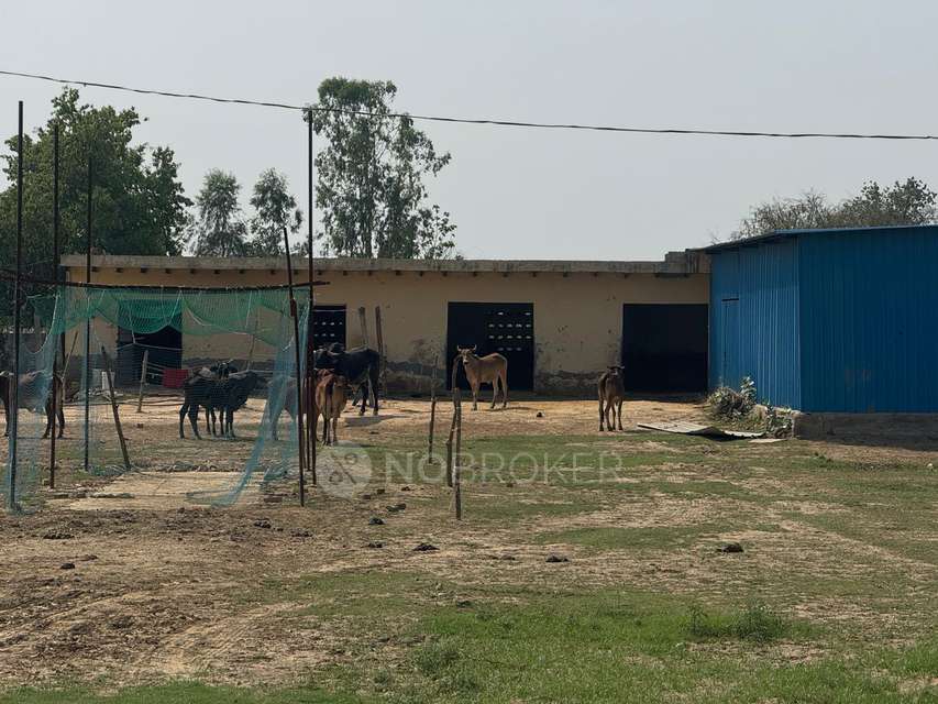 Plot For Sale  In Jewar 