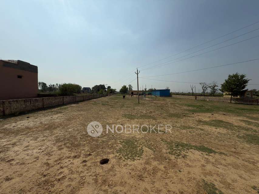 Plot For Sale  In Jewar 