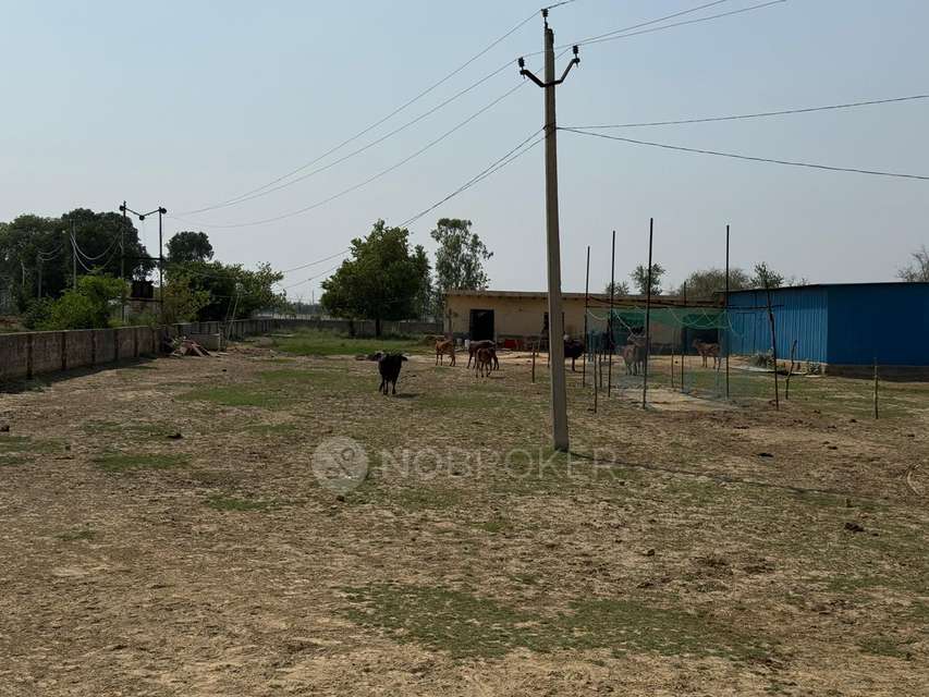 Plot For Sale  In Jewar 