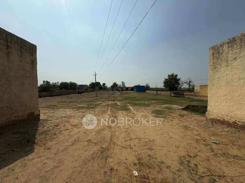 Plot For Sale  In Jewar 