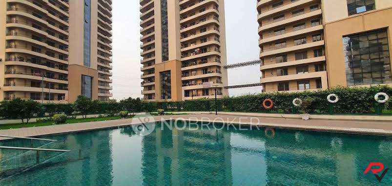 3 BHK Flat For Sale  In Chintels Serenity