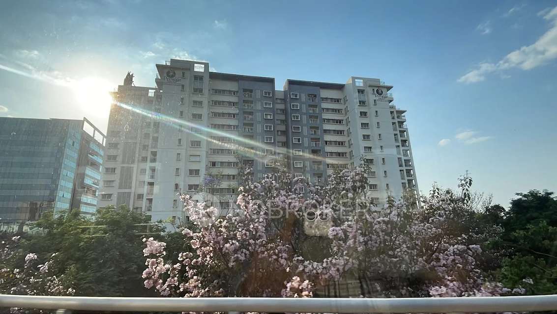 3 BHK Flat In Prestige Park View, Kadugodi for Rent  In Kadugodi