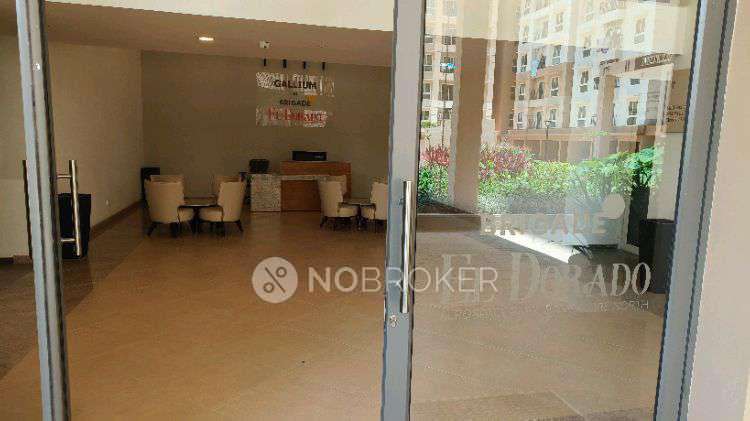 2 BHK Flat In Gallium At Brigade Eldorado for Rent  In Teachers Quarters, 5, Bagaluru, Beml Layout, Bagalur, Bengaluru, Karnataka 562149, India