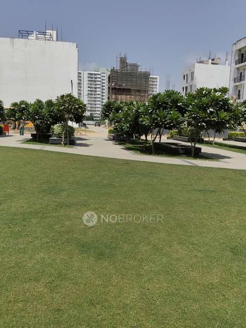 3 BHK Flat In Trehan Floor For Sale  In Sector 71 