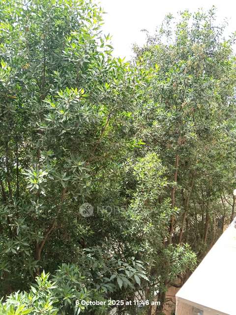 2 BHK Flat In Sekhar Bellevue For Sale  In Bellandur Amanikere