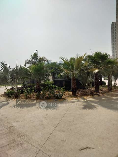 3 BHK Flat In Imperia Esfera For Sale  In Sector 37-c