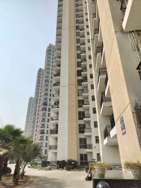 3 BHK Flat In Imperia Esfera For Sale  In Sector 37-c