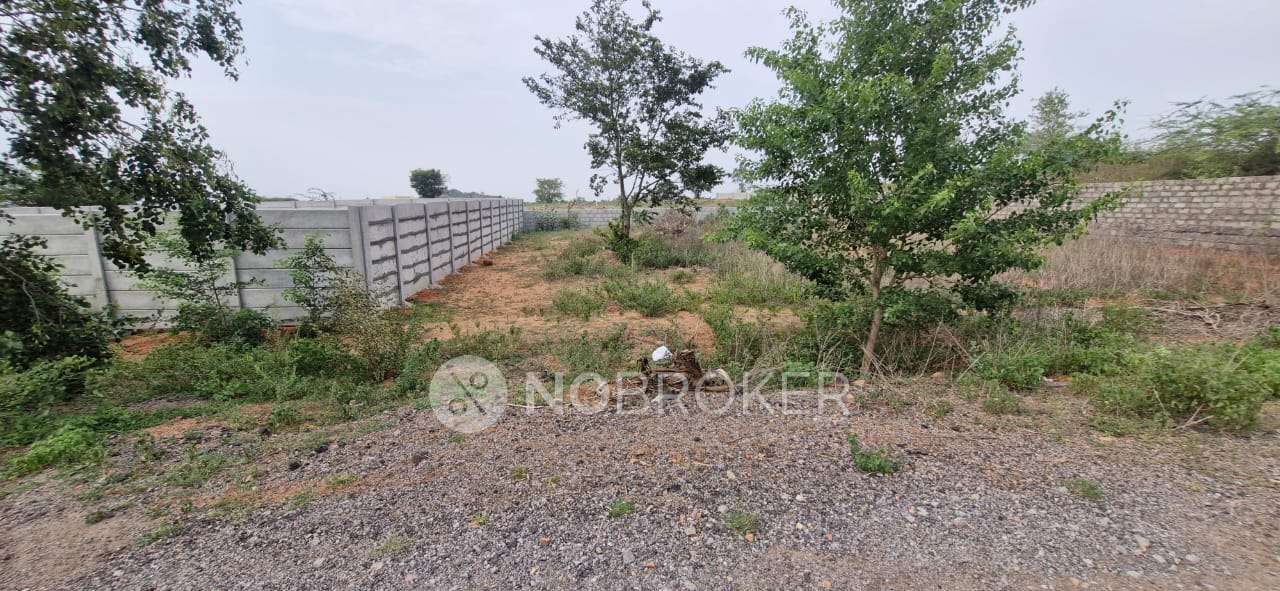Plot For Sale  In Ramdas Pally
