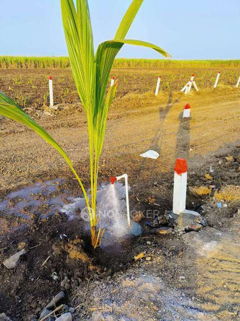 Godown/Warehouse in Shirur, Pune for Rent 