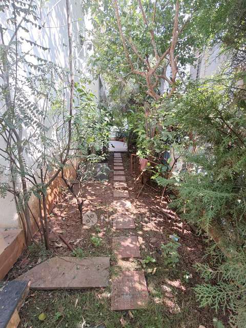 3 BHK House for Rent  In Chrrysalis