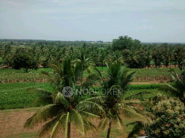 2 BHK Flat In Definer Kingdom For Sale  In Prestige Tranquil Road