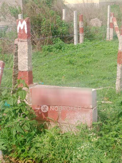 Godown/Warehouse in Banerughatta, Bangalore for Rent 