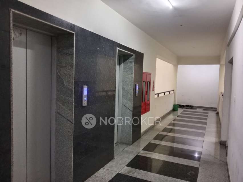 3 BHK Flat In Bda Indraprastha  For Sale  In Bda Indraprashta