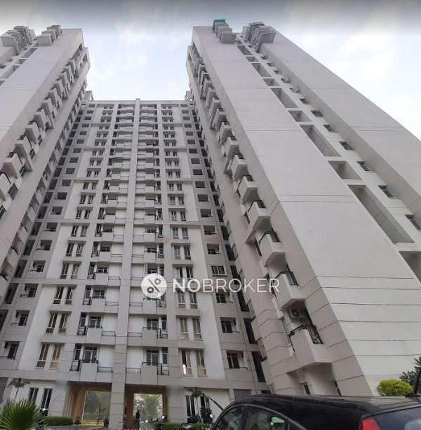 2 BHK Flat In Jaypee Wish Town for Rent  In Sector 133