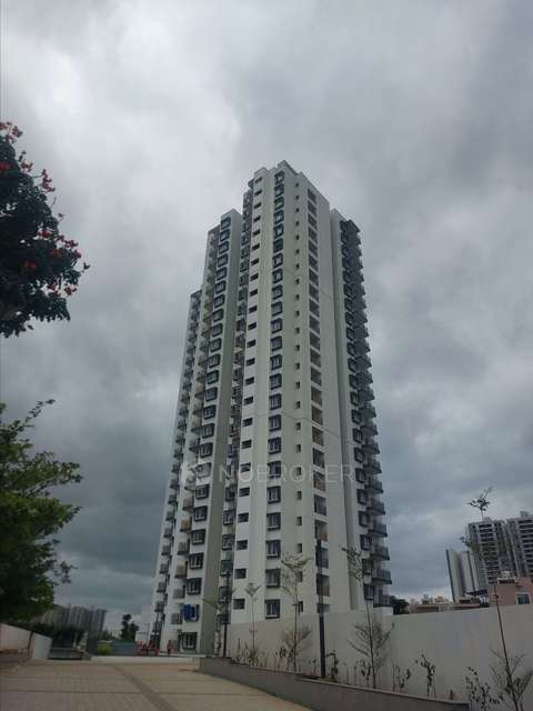 3 BHK Flat In Trifecta Retto For Sale  In Sarjapur Road