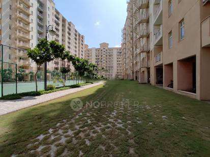 3 BHK Flat In Emaar Palm Heights, Sector 77 for Rent  In Sector 77