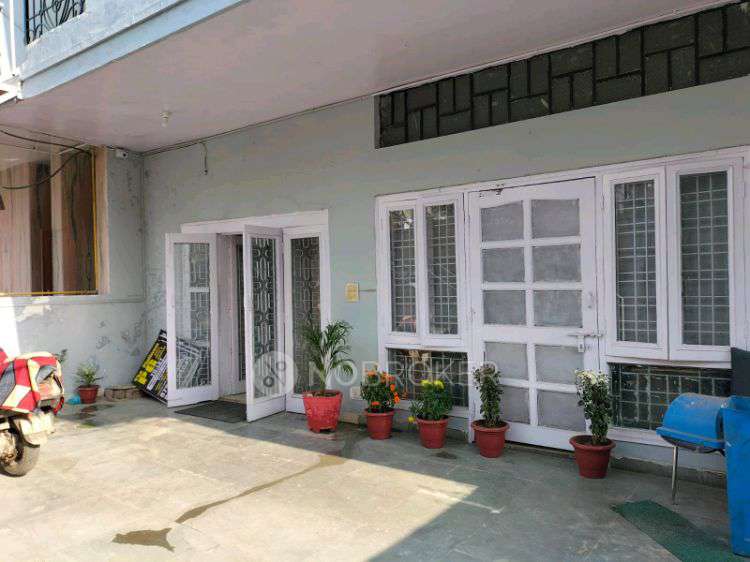 PG for Anyone in  Sector 14