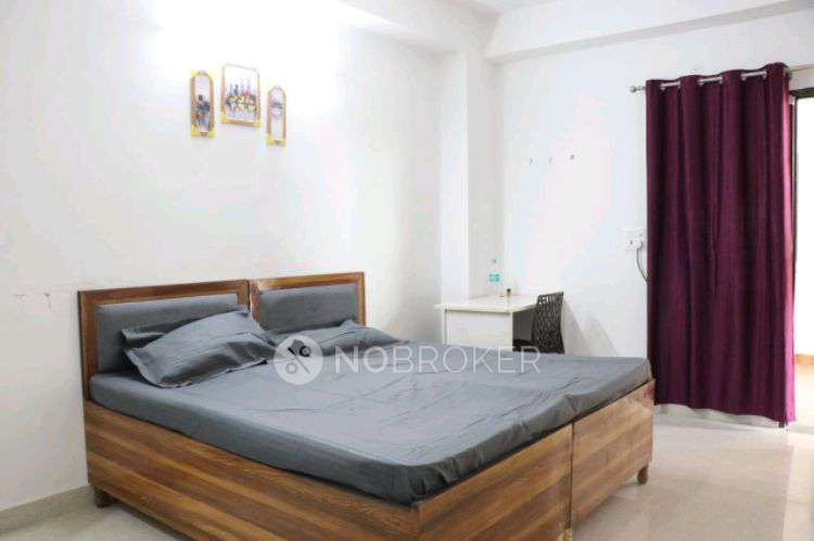 PG for Anyone in Sector 28