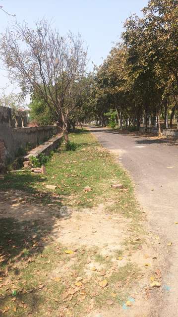 Plot For Sale  In Sigma Ii