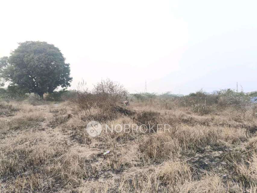Plot For Sale  In Pocket A2 In  Rohini