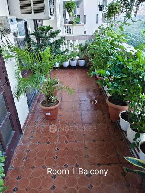 4+ BHK Flat In Cghs The New Greenwood, Gurgaon For Sale  In Sector 52