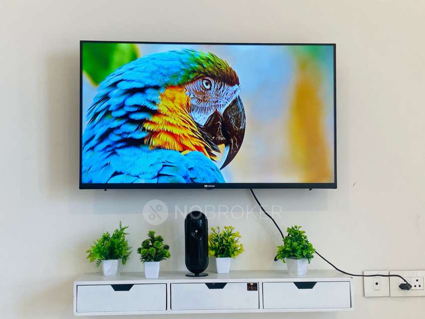 1 BHK Flat In Lodha Belmondo for Rent  In Gahunje