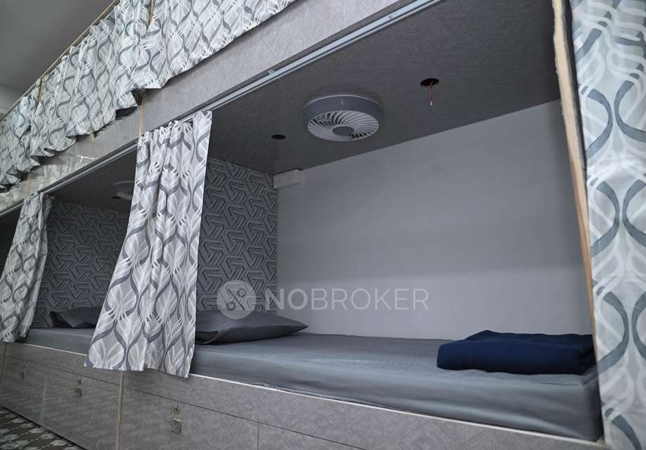 PG for Anyone in Begumpet