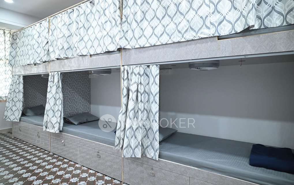 PG for Anyone in Begumpet