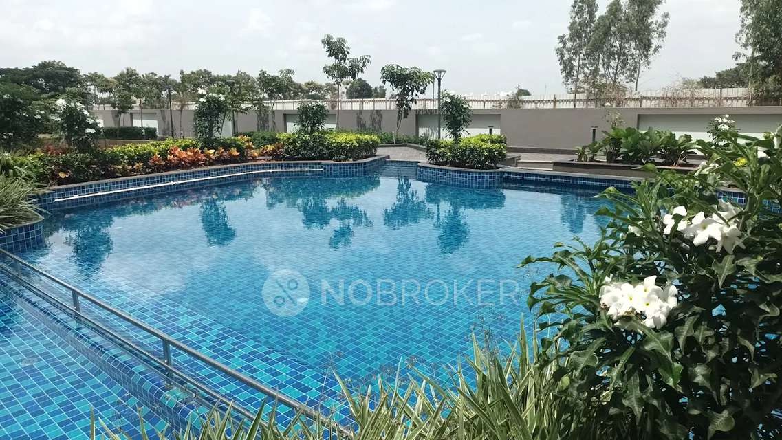 2 BHK Flat In Godrej 24   For Sale  In Sarjapur