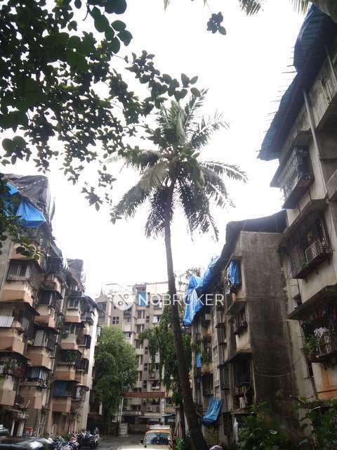 1 BHK Flat In Silver Stream Coperative Society for Rent  In Jogeshwari West