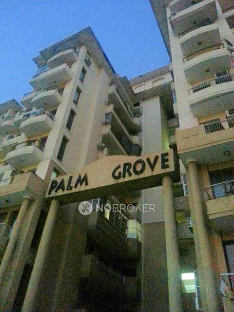 3 BHK Flat In Palm Grova Journalist Colony For Sale  In Palm Grove Apartment