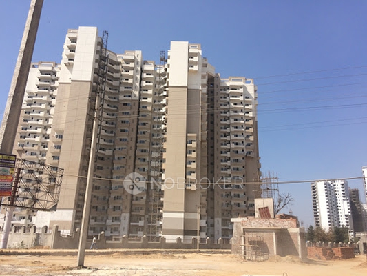 2 BHK Flat In Awho Shanti Vihar for Rent  In Sector 95