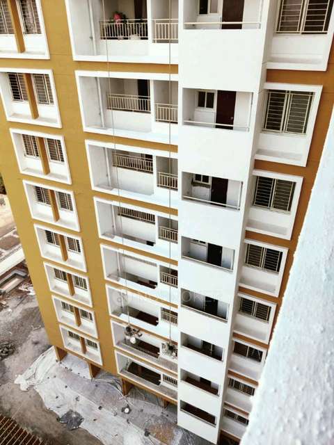 1 BHK Flat In Ap Pinncale, Lonikand for Rent  In Lonikand