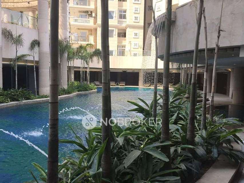 4 BHK Flat In Ace Golfshire For Sale  In Sector 150
